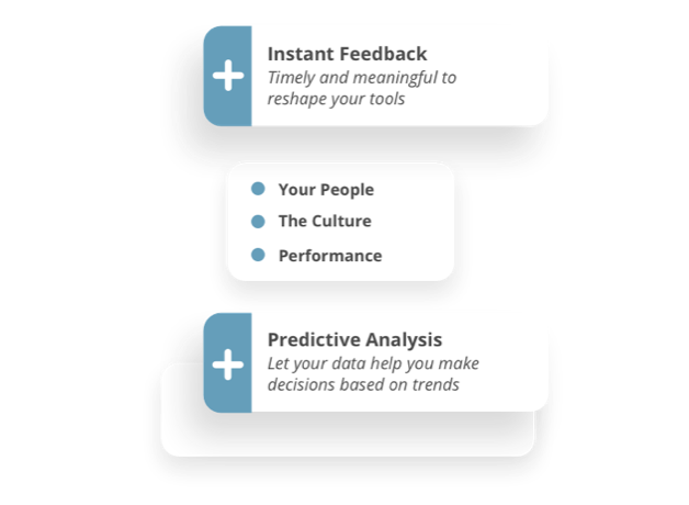 Predictive Decisions